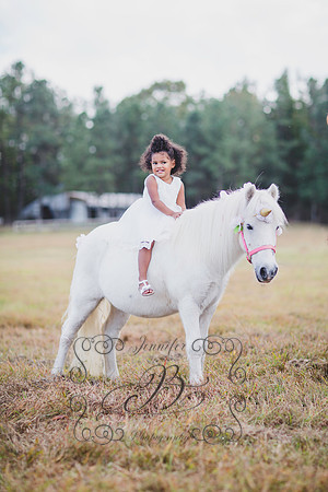 Jennifer B. Photography-Unicorn Session 6 -1