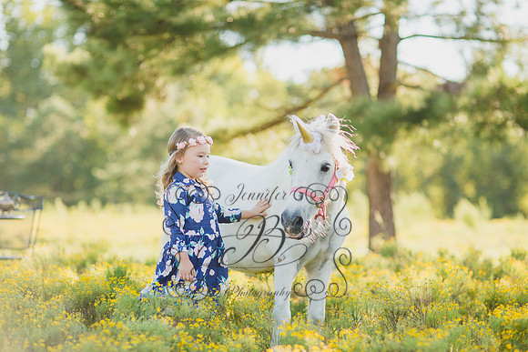 Jennifer B Photography-Unicorn Session 2016-25