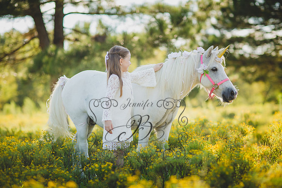 Jennifer B Photography-Unicorn Session 2016-13