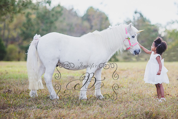 Jennifer B. Photography-Unicorn session 6-15