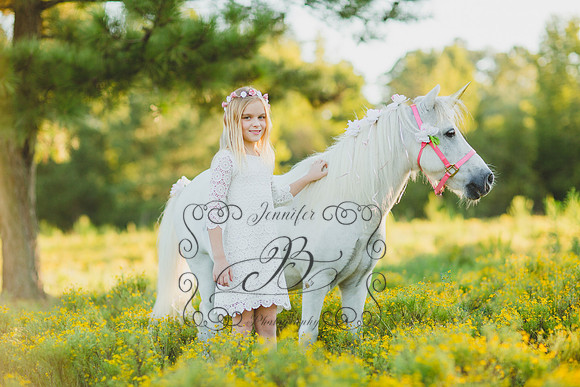 Jennifer B Photography-Unicorn Session 2016-9