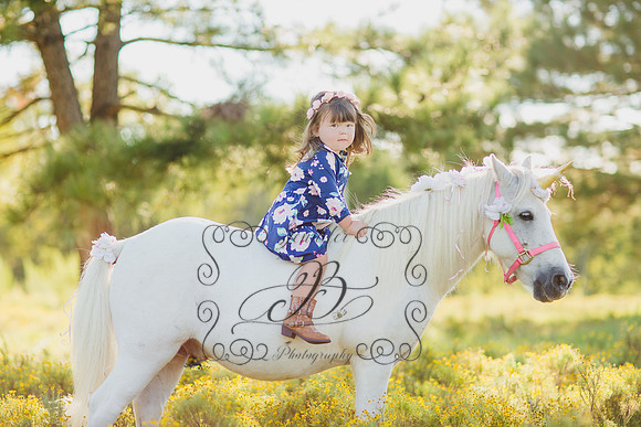 Jennifer B Photography-Unicorn Session 2016-11