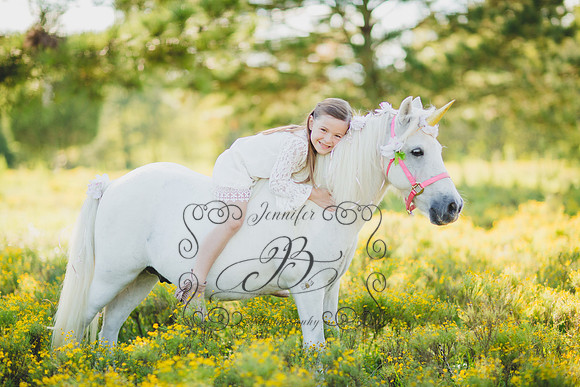 Jennifer B Photography-Unicorn Session 2016-22