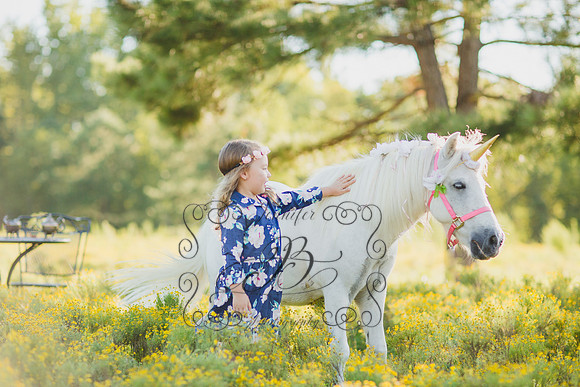 Jennifer B Photography-Unicorn Session 2016-24