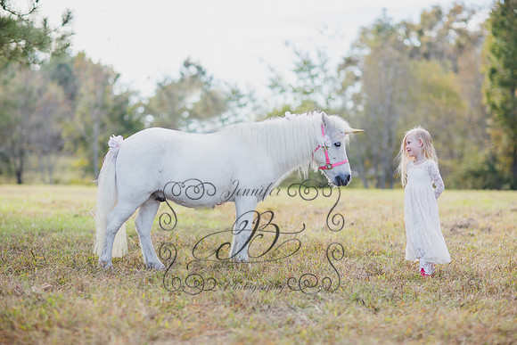 Jennifer B. Photography-Unicorn 5-7