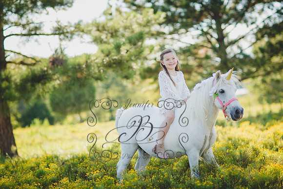 Jennifer B Photography-Unicorn Session 2016-19