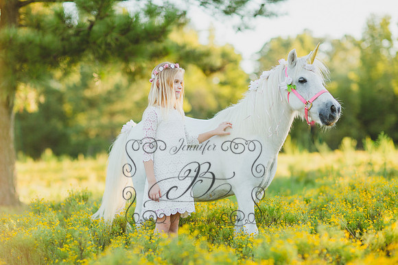 Jennifer B Photography-Unicorn Session 2016-12