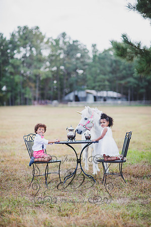 Jennifer B. Photography-Unicorn session 6-25