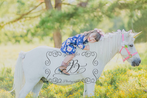 Jennifer B Photography-Unicorn Session 2016-17