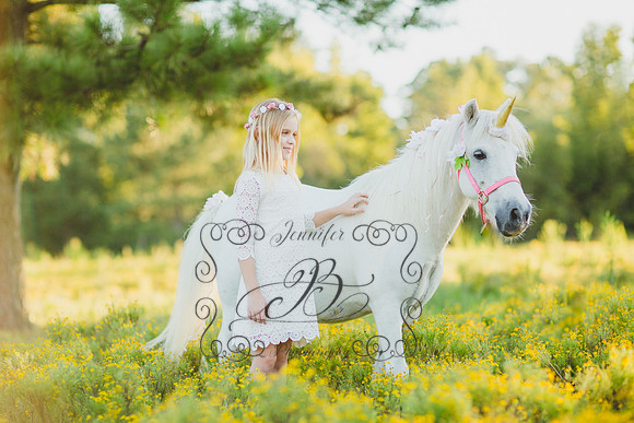 Jennifer B Photography-Unicorn Session 2016-13