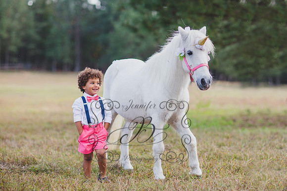 Jennifer B. Photography-Unicorn session 6-5