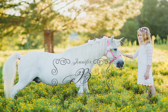 Jennifer B Photography-Unicorn Session 2016-2