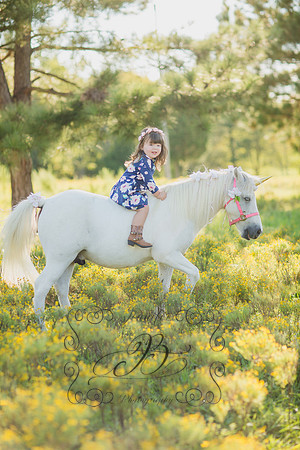 Jennifer B Photography-Unicorn Session 2016-15