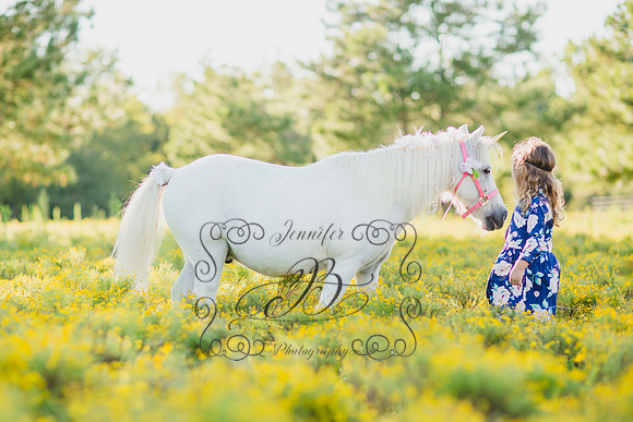 Jennifer B Photography-Unicorn Session 2016-21