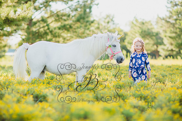 Jennifer B Photography-Unicorn Session 2016-19