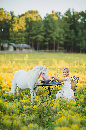 Jennifer B Photography-Unicorn Session 2016-46