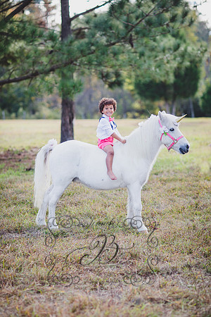 Jennifer B. Photography-Unicorn session 6-10