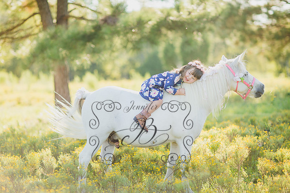 Jennifer B Photography-Unicorn Session 2016-18