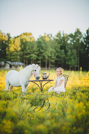 Jennifer B Photography-Unicorn Session 2016-42
