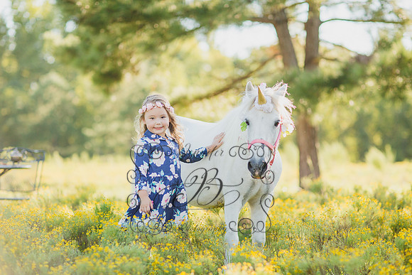 Jennifer B Photography-Unicorn Session 2016-28