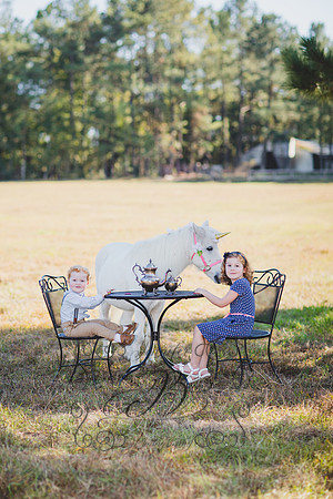 Jennifer B. Photography-Unicorn 3-22