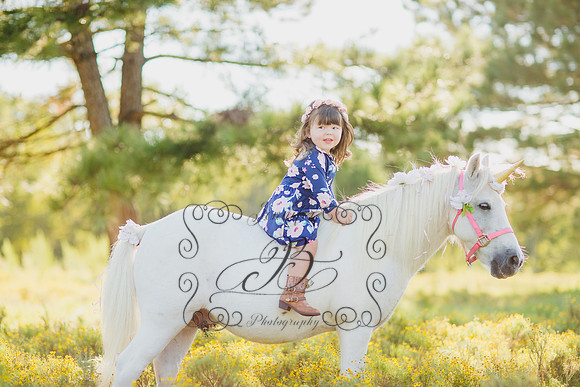 Jennifer B Photography-Unicorn Session 2016-13