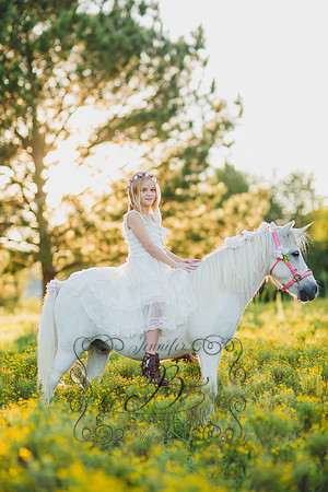 Jennifer B Photography-Unicorn Session 2016-24
