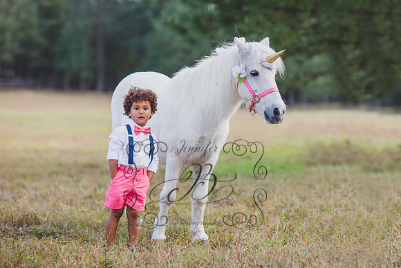 Jennifer B. Photography-Unicorn session 6-4