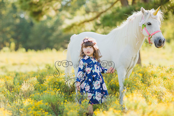 Jennifer B Photography-Unicorn Session 2016-4