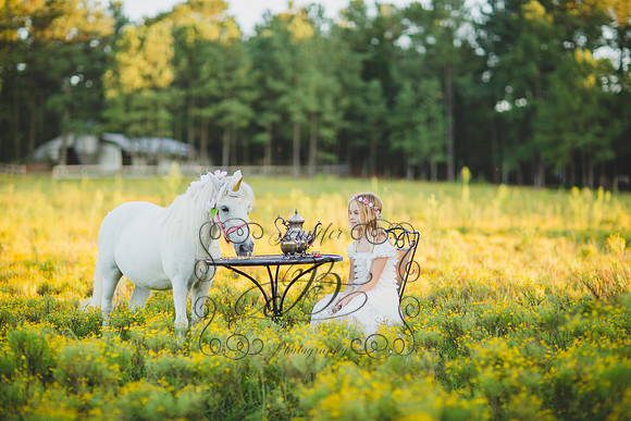 Jennifer B Photography-Unicorn Session 2016-38