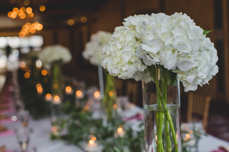 Jennifer B Photography-Ben and Katherine 2016-92