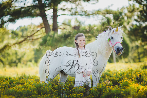 Jennifer B Photography-Unicorn Session 2016-9
