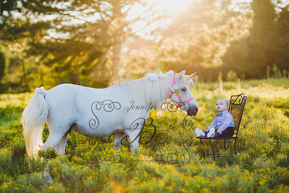 Jennifer B Photography-Unicorn Session 2016-17