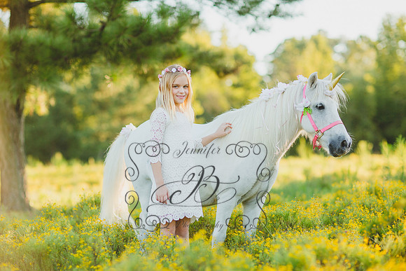Jennifer B Photography-Unicorn Session 2016-10