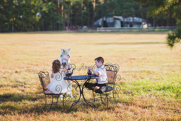 Jennifer B. Photography-Unicorn session 7-19