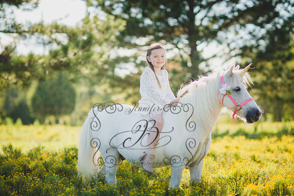 Jennifer B Photography-Unicorn Session 2016-14