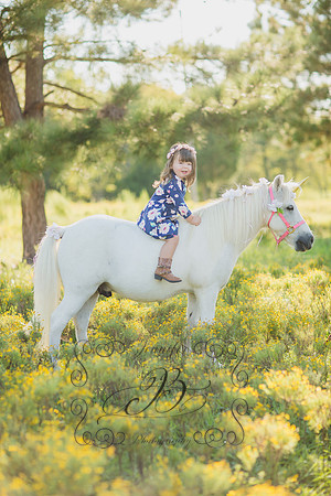 Jennifer B Photography-Unicorn Session 2016-16