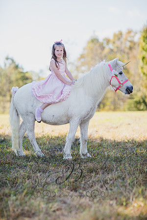 Jennifer B. Photography-Unicorn 1-13