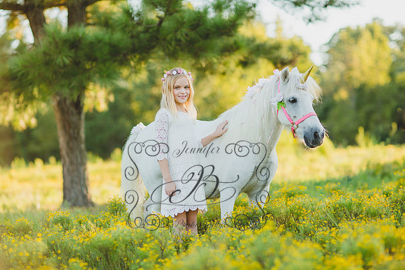 Jennifer B Photography-Unicorn Session 2016-8