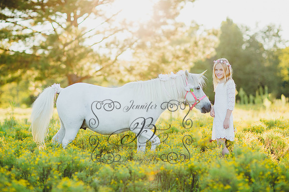 Jennifer B Photography-Unicorn Session 2016-4