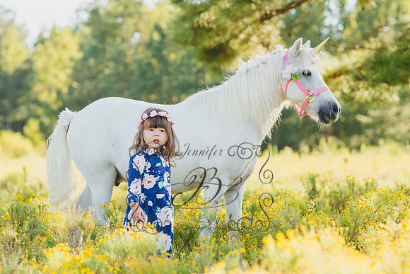 Jennifer B Photography-Unicorn Session 2016-7