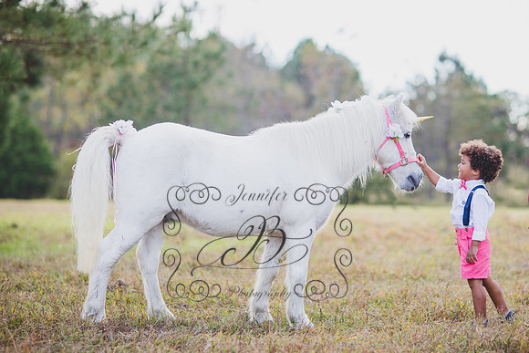 Jennifer B. Photography-Unicorn session 6-8