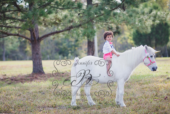 Jennifer B. Photography-Unicorn session 6-12