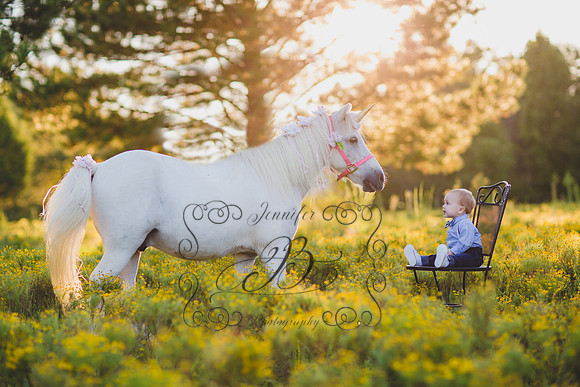 Jennifer B Photography-Unicorn Session 2016-19