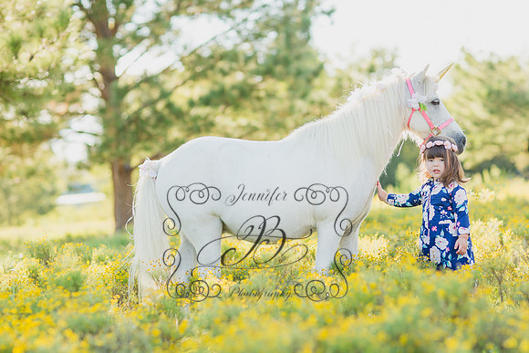Jennifer B Photography-Unicorn Session 2016-2
