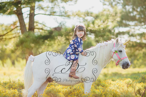 Jennifer B Photography-Unicorn Session 2016-12