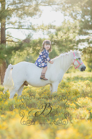 Jennifer B Photography-Unicorn Session 2016-14