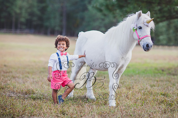 Jennifer B. Photography-Unicorn session 6-6