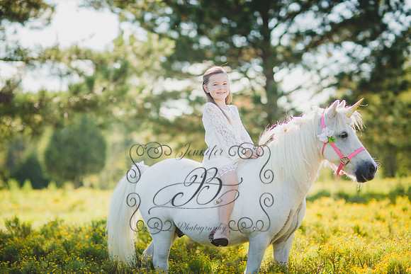 Jennifer B Photography-Unicorn Session 2016-15