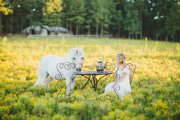 Jennifer B Photography-Unicorn Session 2016-40
